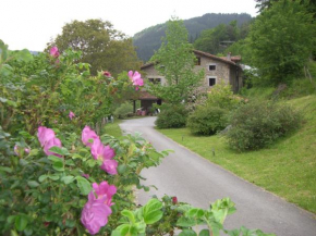 Отель Casa Rural Goikola  Деба